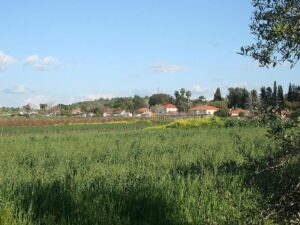 אדריכלית באביאל